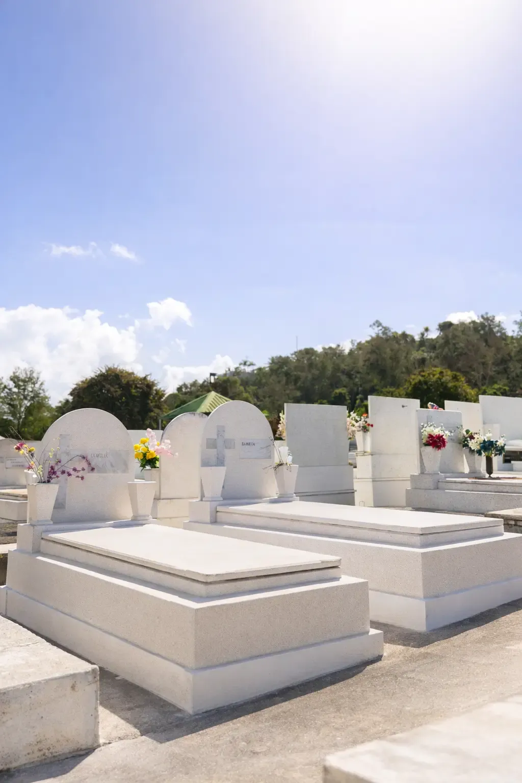 Detalle de panteón y revestimiento